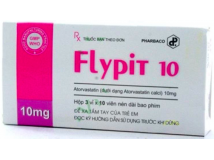 Flypit