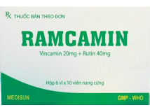 Ramcamin
