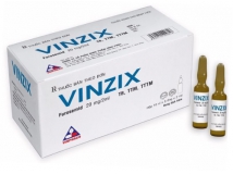 Vinzix (20mg/2ml)