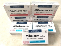 Mibelcam
