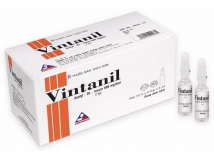 Vintanil