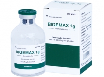 Bigemax