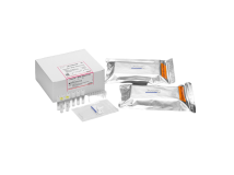 Loopamp MTBC Detection Kit